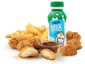 arby's Premium 6PC Chicken Nuggets Kids Meal